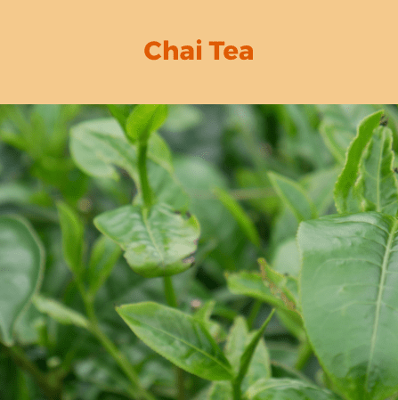 4- Chai Tea