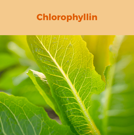 4- Chlorophyllin