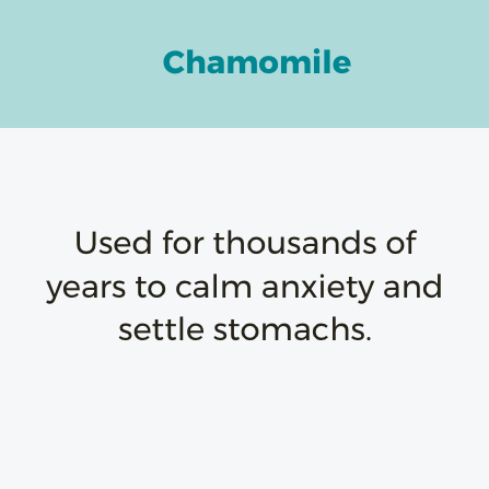 Chamomile