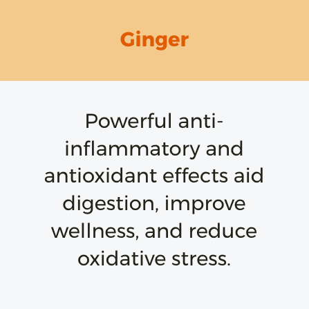 GINGER