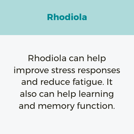 Rhodiola